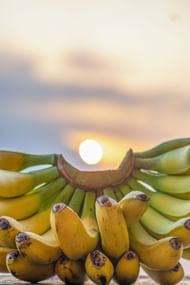Natural sleep aids (Image via Pexels)